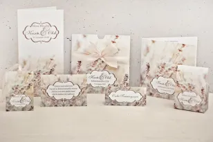 Felicja Samples Nr. 10 - Set
