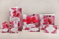 Próbki Zaproszeń Ślubnych Felicja nr 12 | Zobacz na Żywo!