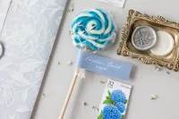 Podziękowania dla Gości: Lizaki Dusty Blue | Zamów Online