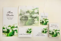 Próbki Zaproszeń Ślubnych z Kalką Elegant | Zobacz Jakość