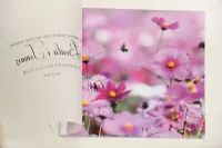 Eleganckie zaproszenia ślubne z kalką i kwiatami | Elegant 5