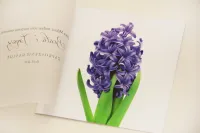 Eleganckie Zaproszenia Ślubne z Kalką Fioletowe | Elegant nr 7