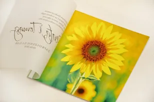 Hochzeitseinladung, elegante Hochzeitseinladungen mit Transparentpapier - Elegant Nr. 8 - Sommersonnenblumen