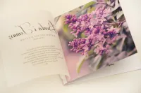Zaproszenia ślubne z kalką i fioletowym bzem | Elegant 11