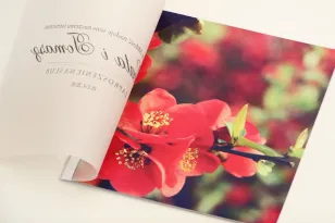 Hochzeitseinladung, elegante Hochzeitseinladungen mit Transparentpapier - Elegant Nr. 15 - Rote Blumen