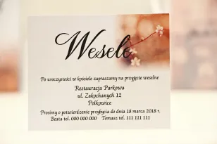 Einladungskarte 120 x 98 mm Hochzeitsgeschenke - Elegant Nr. 16 - Kirschblüten