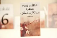 Podziękowania dla Gości: Nasionka Niezapominajki Kwiat Jabłoni