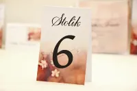 Numery na Stół Weselny Kwiaty Jabłoni | Elegant nr 16