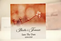 Pastelowe Save The Date z Kwiatami Jabłoni | Elegant nr 16