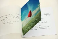 Zaproszenia Ślubne z Kalką i Balonem | Elegant nr 19
