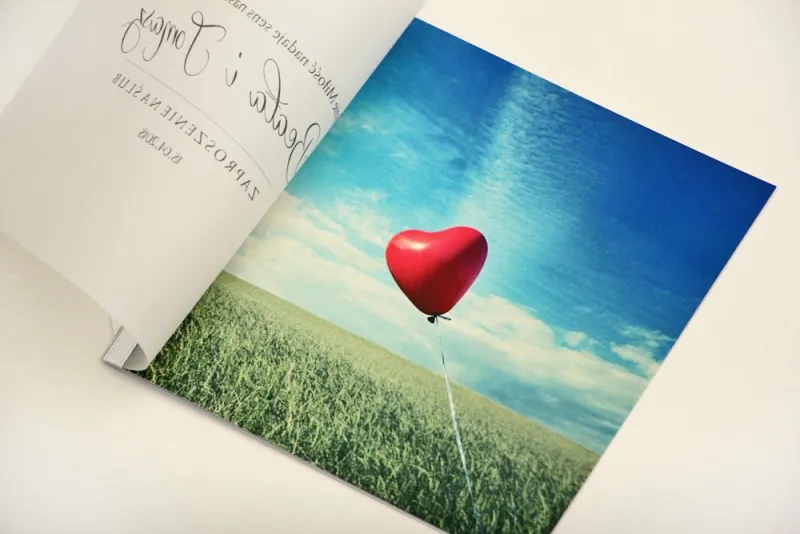 Hochzeitseinladung, elegante Hochzeitseinladungen mit Transparentpapier - Elegant Nr. 19 - Luftballon Hochzeitseinladung, elegante Hochzeitseinladungen mit Transparentpapier - Elegant Nr. 19 - Luftballon