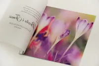 Zaproszenia Ślubne z Kalką i Fioletowymi Krokusami | Elegant