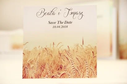 Save The Date do zaproszenia - Elegant nr 25 - Pole pszenicy