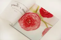 Eleganckie Zaproszenia Ślubne z Kalką i Kwiatami | Elegant 27