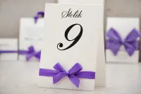 Eleganckie Numery na Stół Weselny z Kokardką | Belisa nr 4