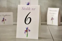 Numery na Stół Weselny Irys | Eleganckie | Pistacjowe nr 10