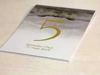 Złocone Numery na Stół Szara Akwarela | Delfina nr 6