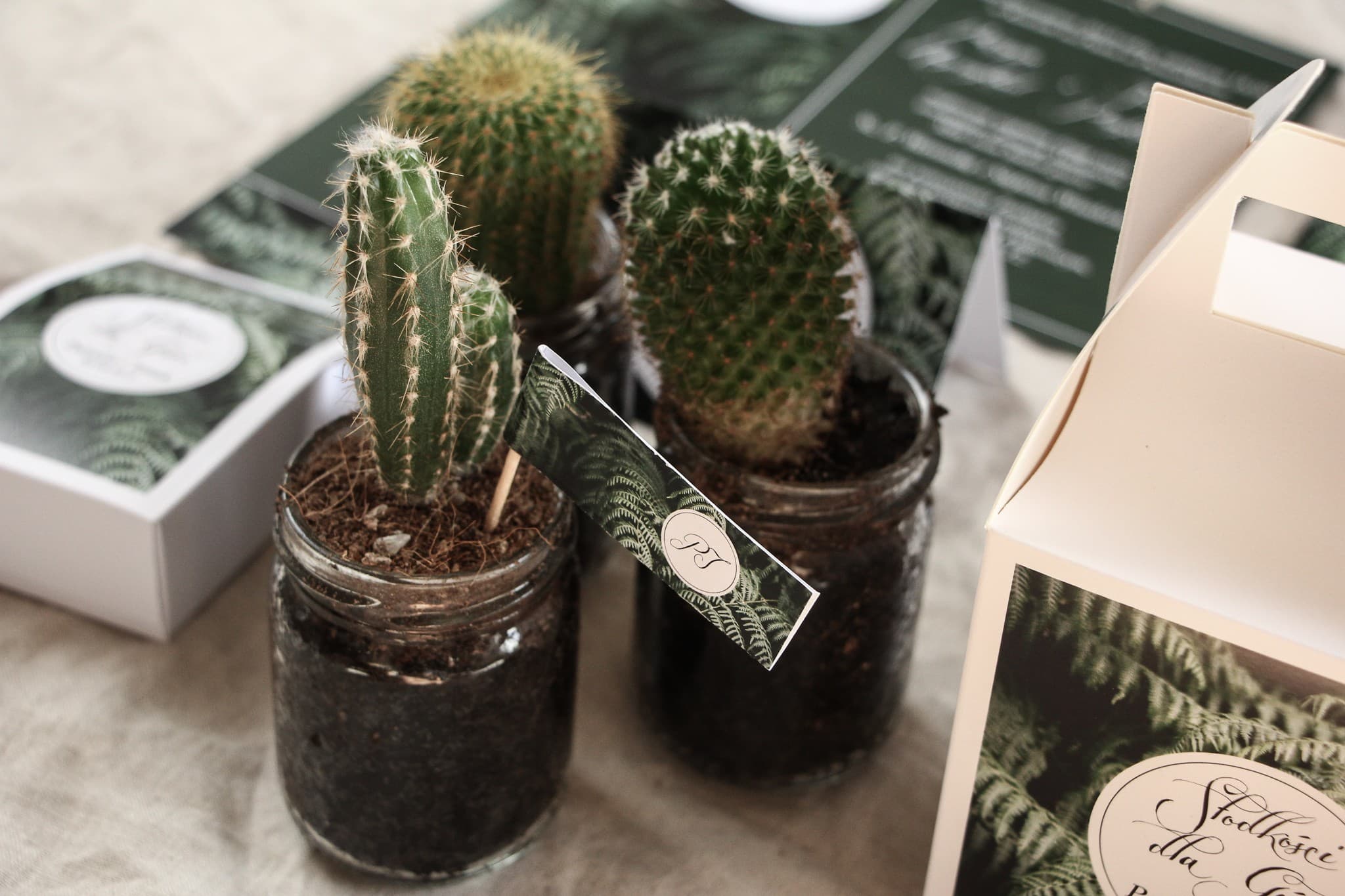Live Wedding Favours, Eco Gift | Personalized Potted Cacti | Botanik No. 1