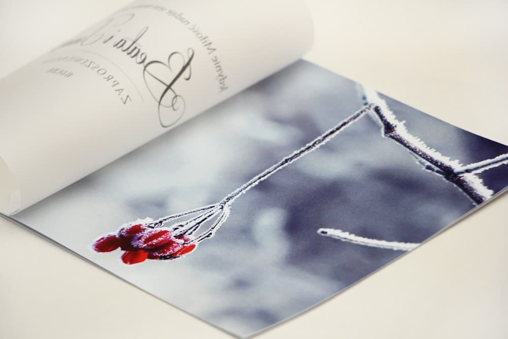 Vellum Wedding Invitations with Red Rowan and Ribbon – Elegant No. 17 - 3