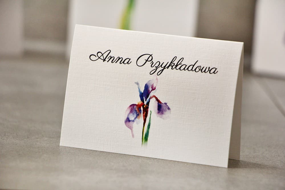Pistachio No. 10 Wedding Place Cards – Linen Table Cards with Watercolor Iris