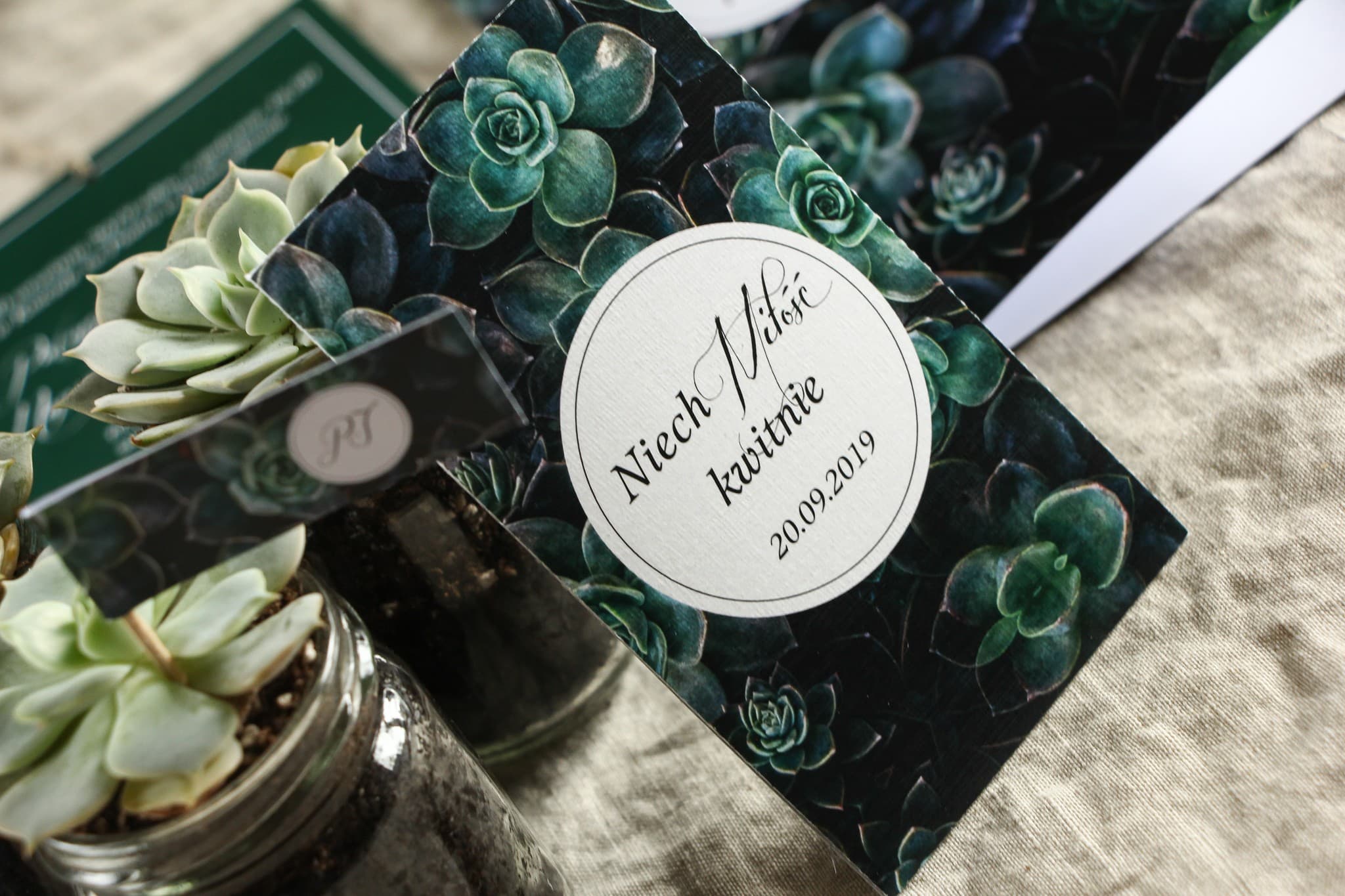 Vergissmeinnicht-Samen Öko-Geschenk | Gastgeschenke Hochzeit mit Sukkulenten | Botanik Nr. 3