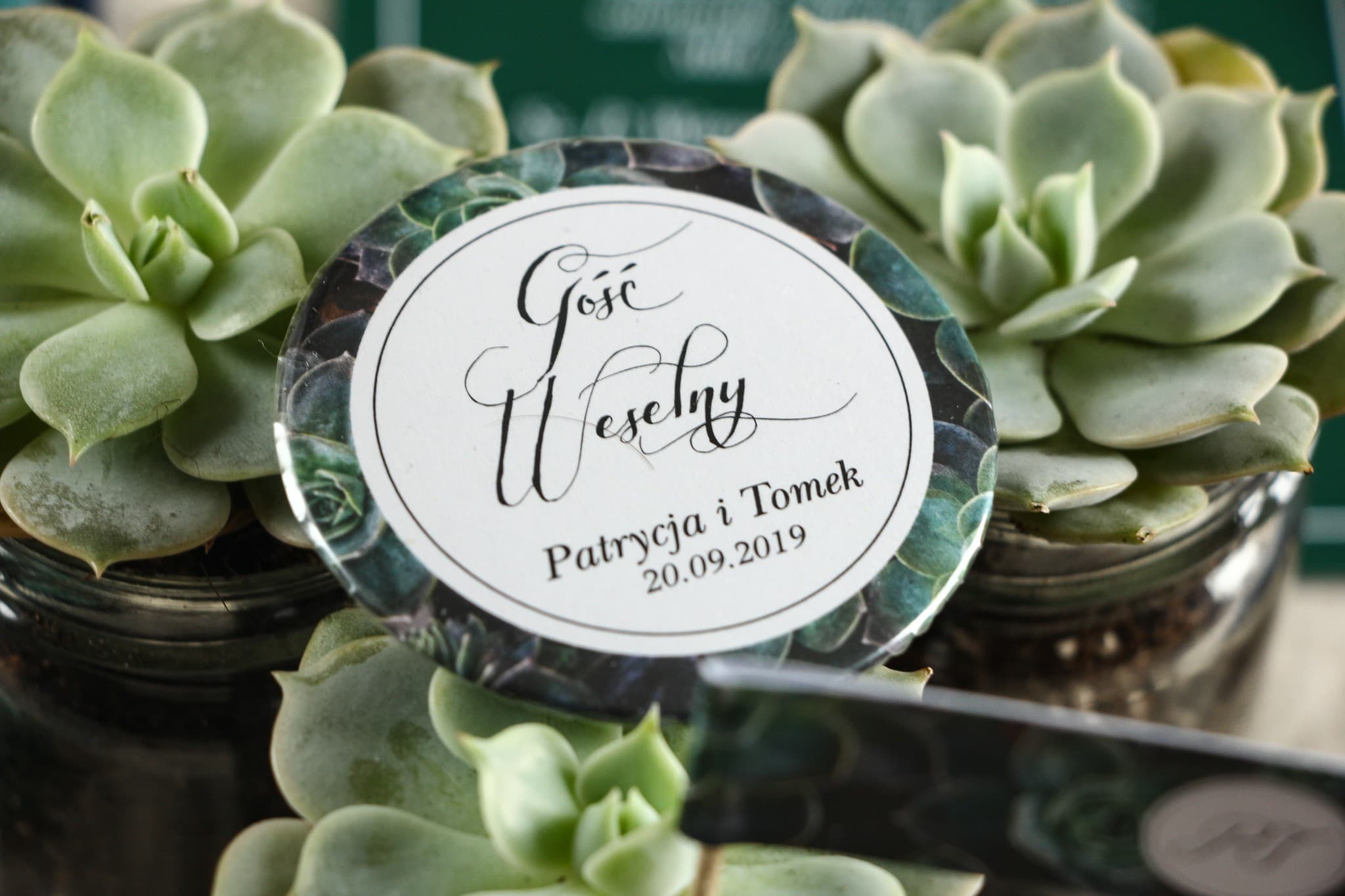 Spillette Botaniche con Eucalipto | Ringraziamenti Ospiti Matrimoniali | Botanico n. 3