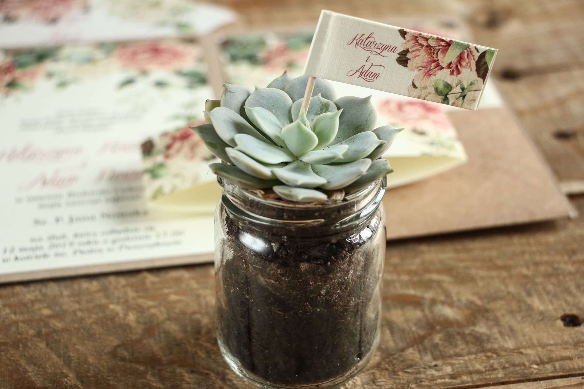 Potted Succulent with Peonies, Eco Gift | Wedding Favours | Kraft Succulent No. 2