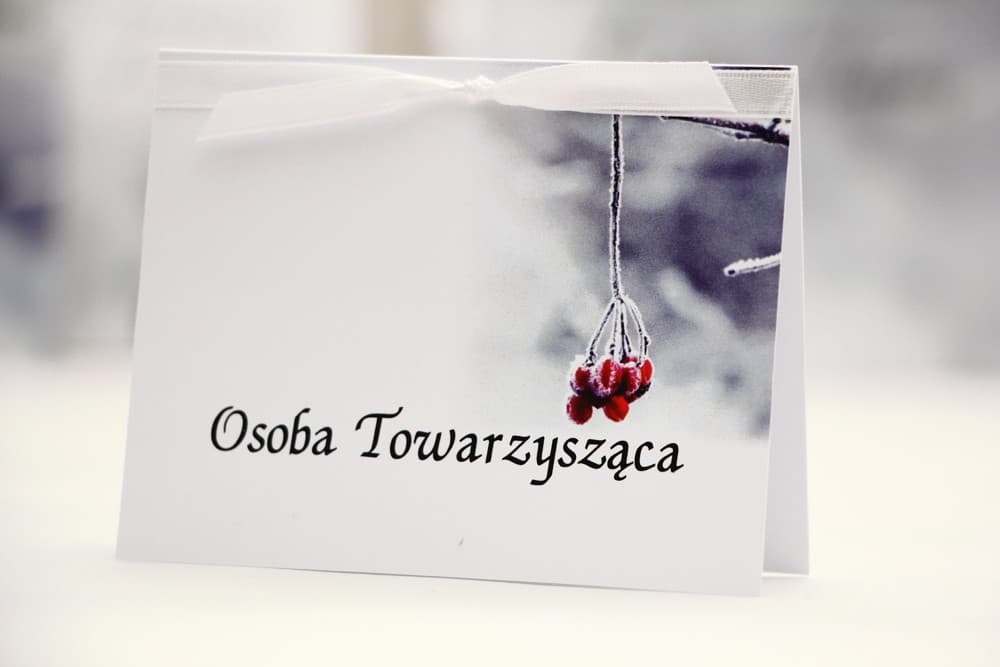 Tischkarten Hochzeit Elegant Nr. 17 – Namenskarten mit Motiv der bereiften Eberesche