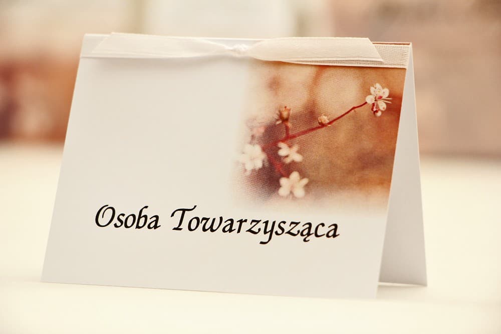 Elegant No. 16 Wedding Place Cards – Apple Blossom Design with Ribbon