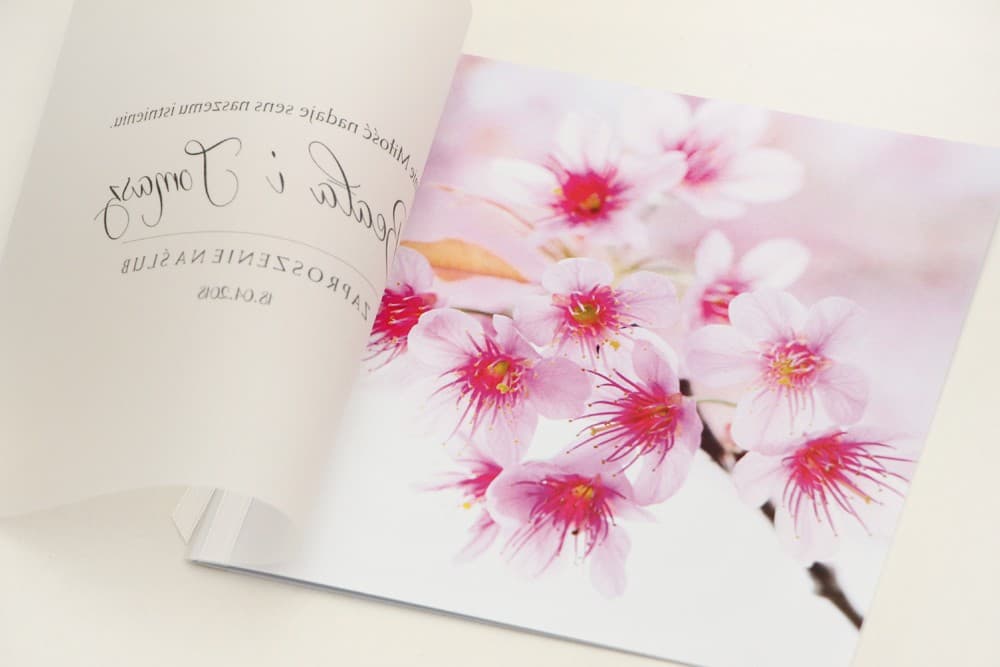 Hochzeitseinladungen mit Transparentpapier und Satinband, romantische Kirschblüten – Elegant Nr. 23 - 3