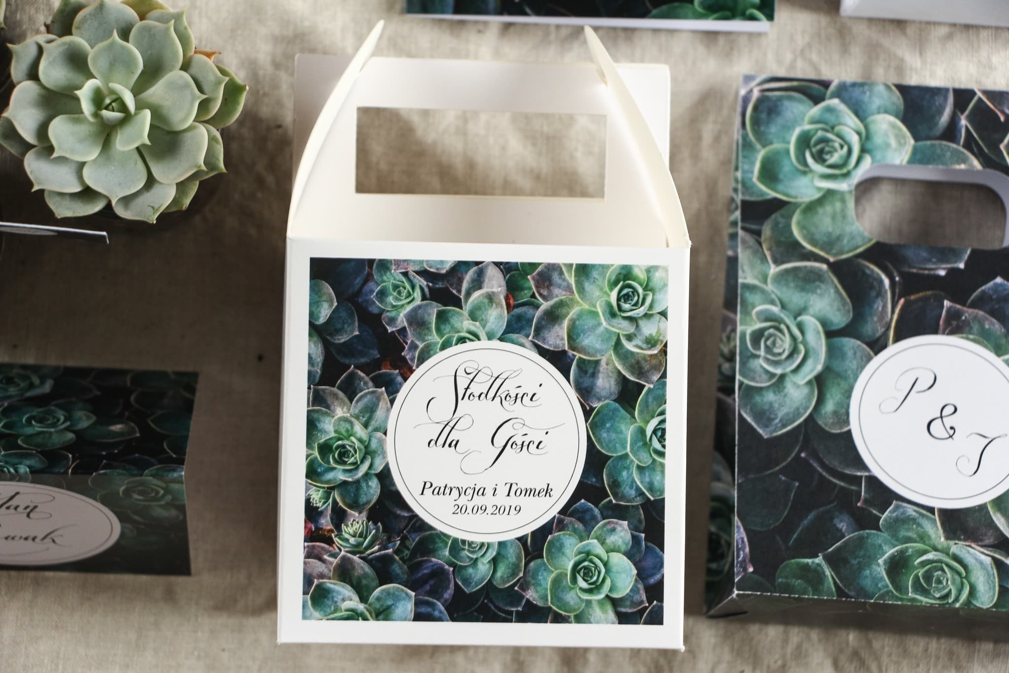 Botanical Eucalyptus Wedding Cake Boxes | Personalized Wedding Favors | Botanik No. 3