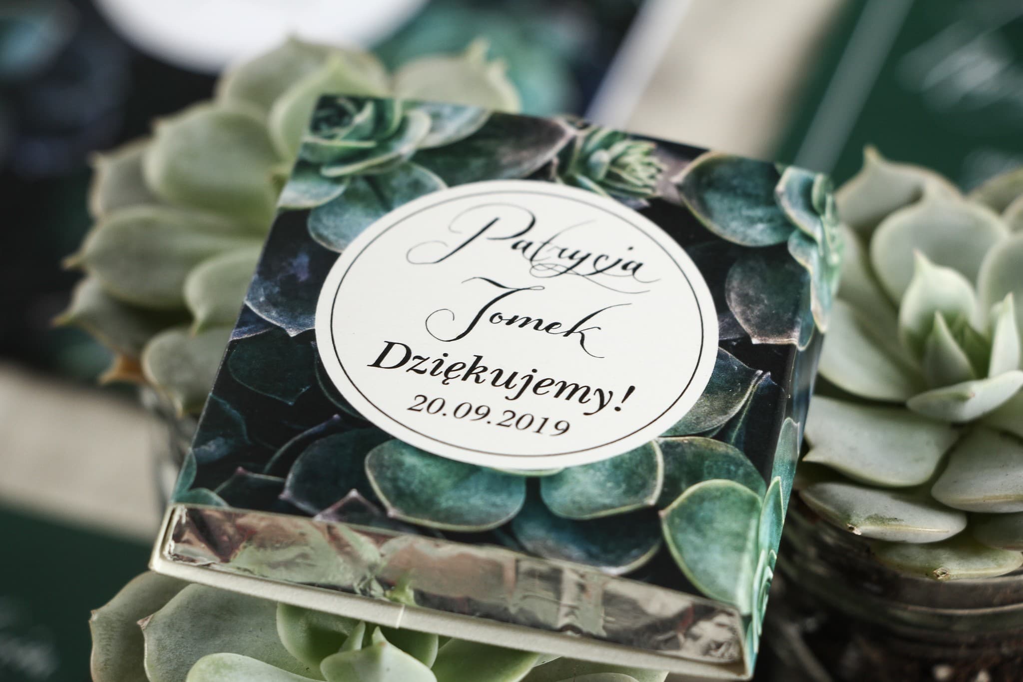 Chocolatinas de Boda Botanik nº 3 | Estilo Botánico con Suculentas | Detalles para Invitados