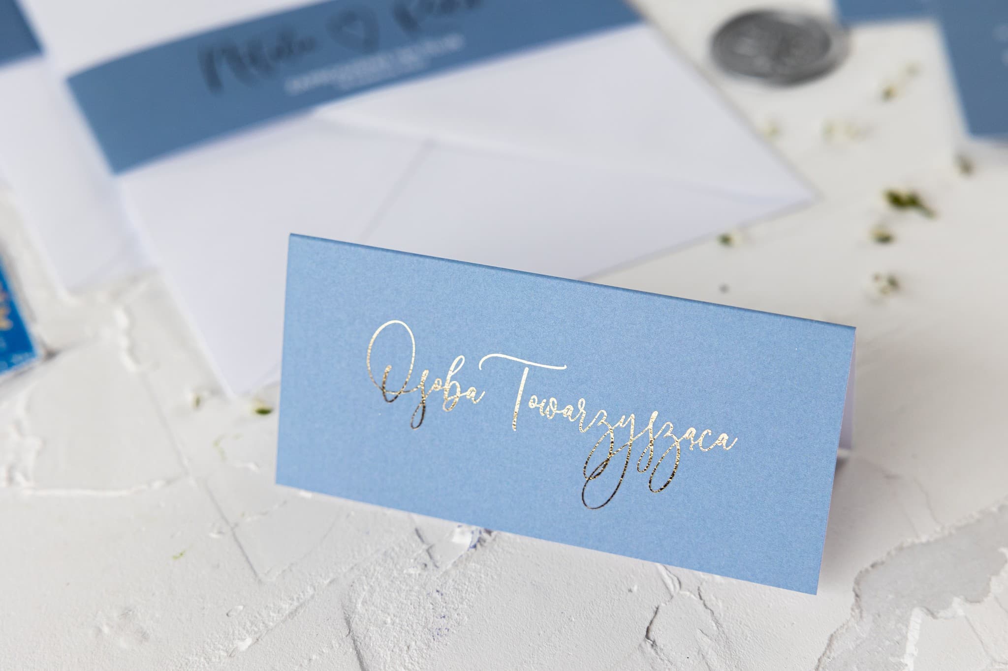 Jaspis No. 4 Wedding Place Cards – Gold Foiled Dusty Blue Table Cards