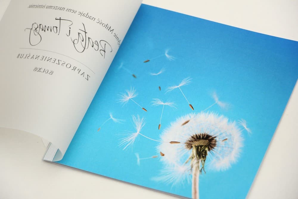 Elegant No. 20 Wedding Invitation with Vellum and Dandelion Motif with Satin Ribbon