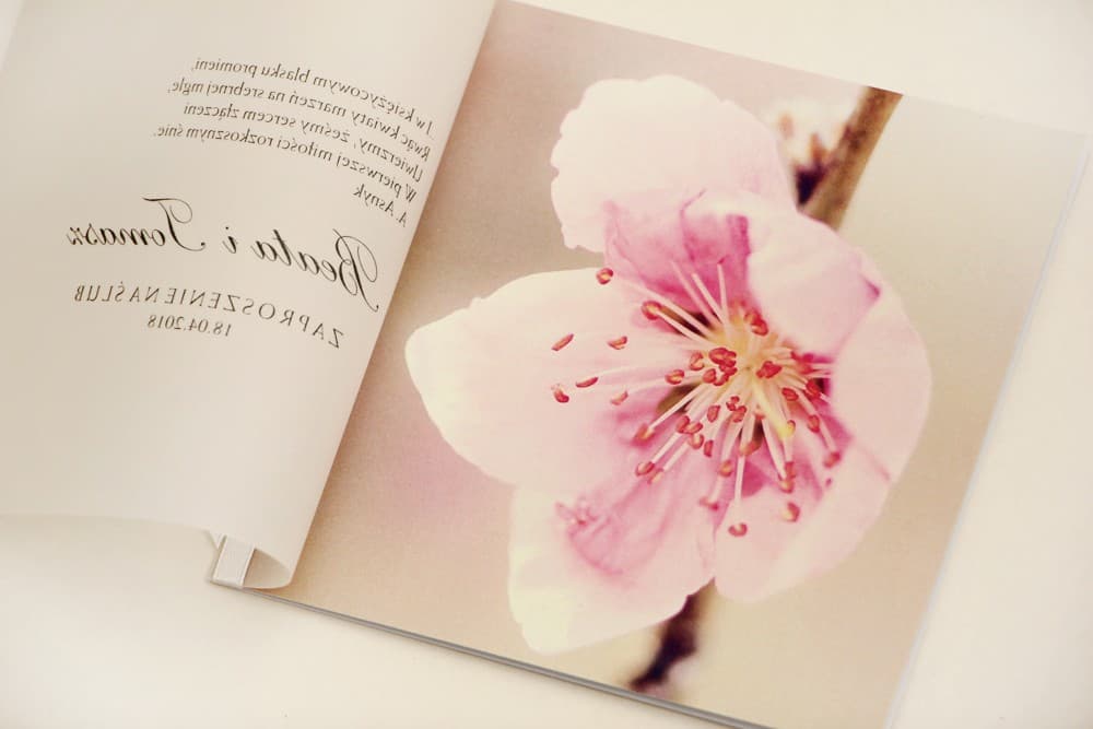 Carte d'invitation ouverte avec calque transparent et fleur rose Faire-part de mariage avec calque et fleur de cerisier Elegant n° 12 intérieur Amelia Wedding