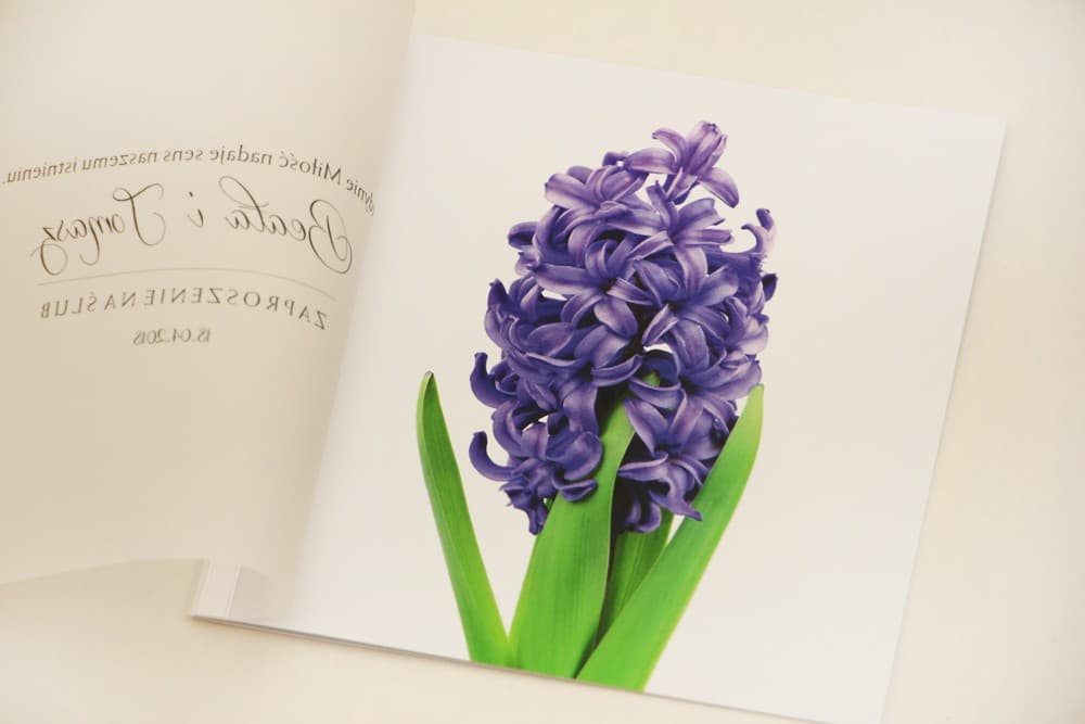 Invitaciones de boda cuadradas con papel vegetal y jacinto violeta con lazo Elegant n.º 7