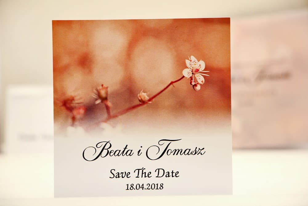 Save The Date Elegant n° 16 fleurs de pommier Carte Save The Date pour invitation de mariage - Elegant n° 16 - Délicates fleurs de cerisier