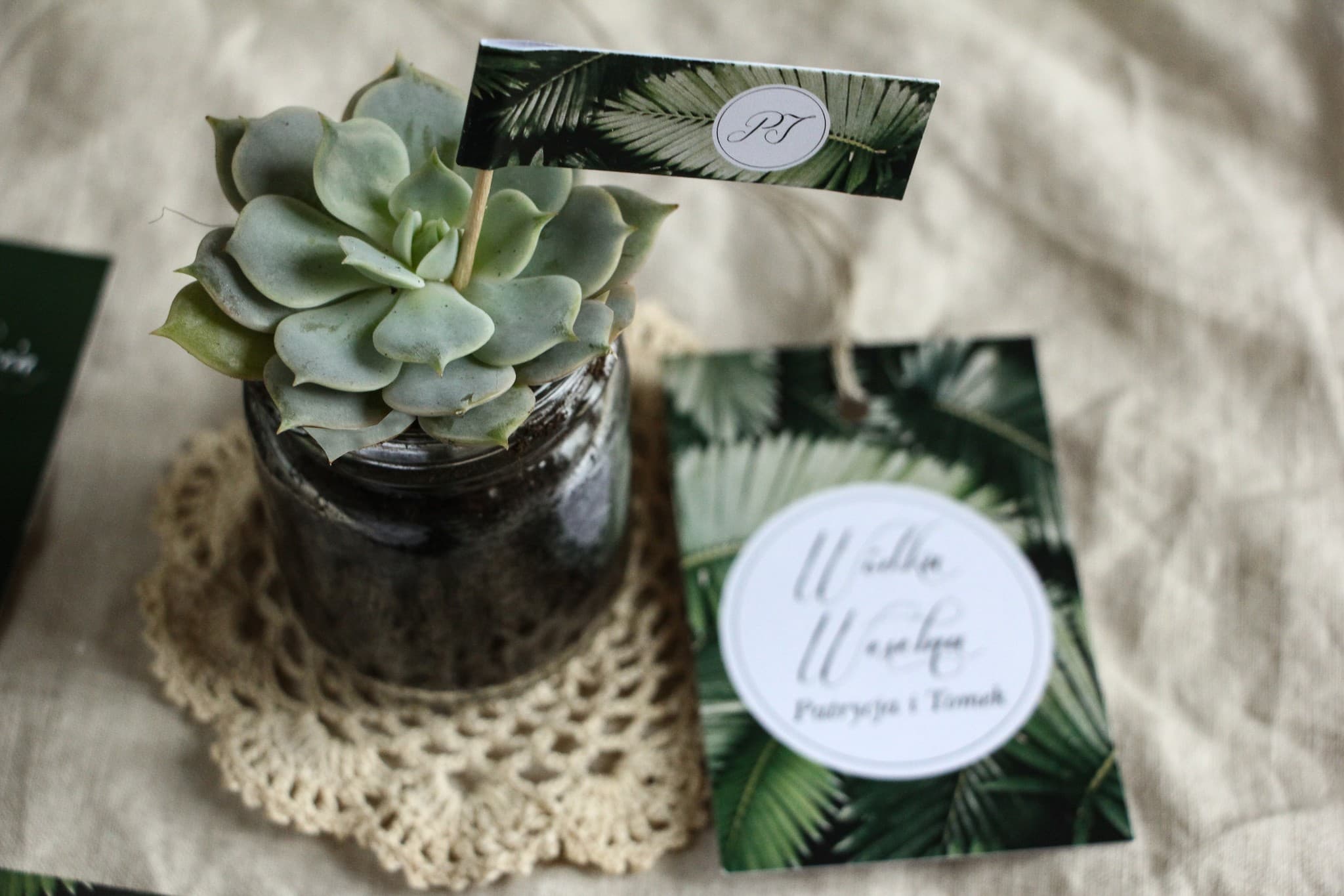 Succulent in a Jar Wedding Favour, Botanical Theme | Eco Wedding Gifts | Botanik No. 2