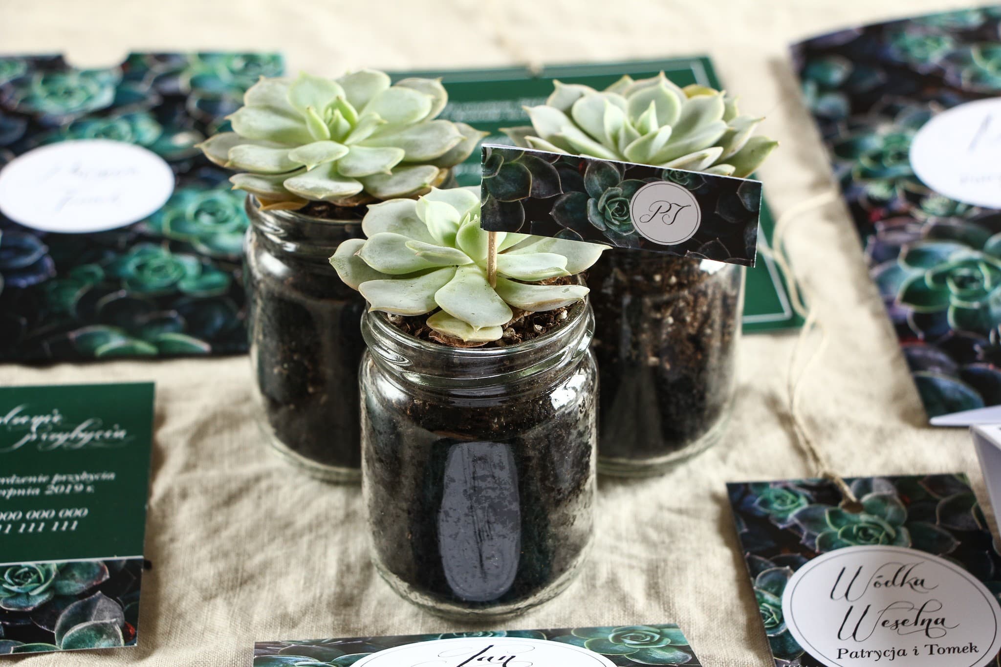 Succulent in a Jar Wedding Favour | Live Wedding Gift, Botanical Style | Botanik No. 3