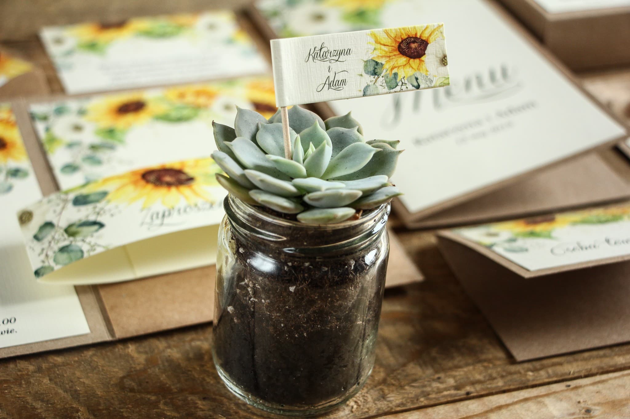 Succulentes en pot avec tournesol | Cadeaux invités mariage rustiques | Kraft n° 5