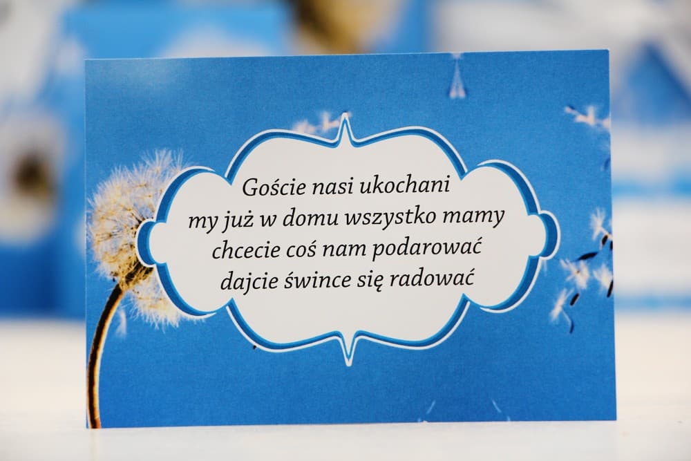 Bilecik do Zaproszenia z Dmuchawcem, Letnia Wkładka Informacyjna | Bileciki do Zaproszeń Ślubnych | Felicja nr 11
